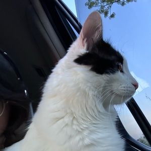 Meet your Posher, Miriam